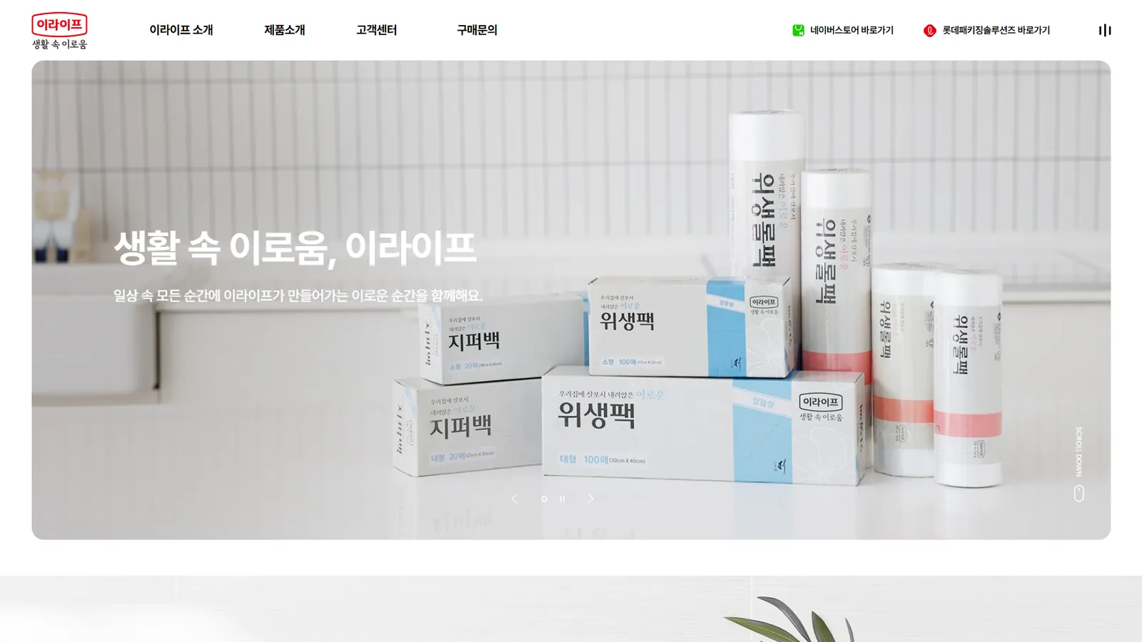 롯데패키징솔루션즈 홈페이지 제작 1