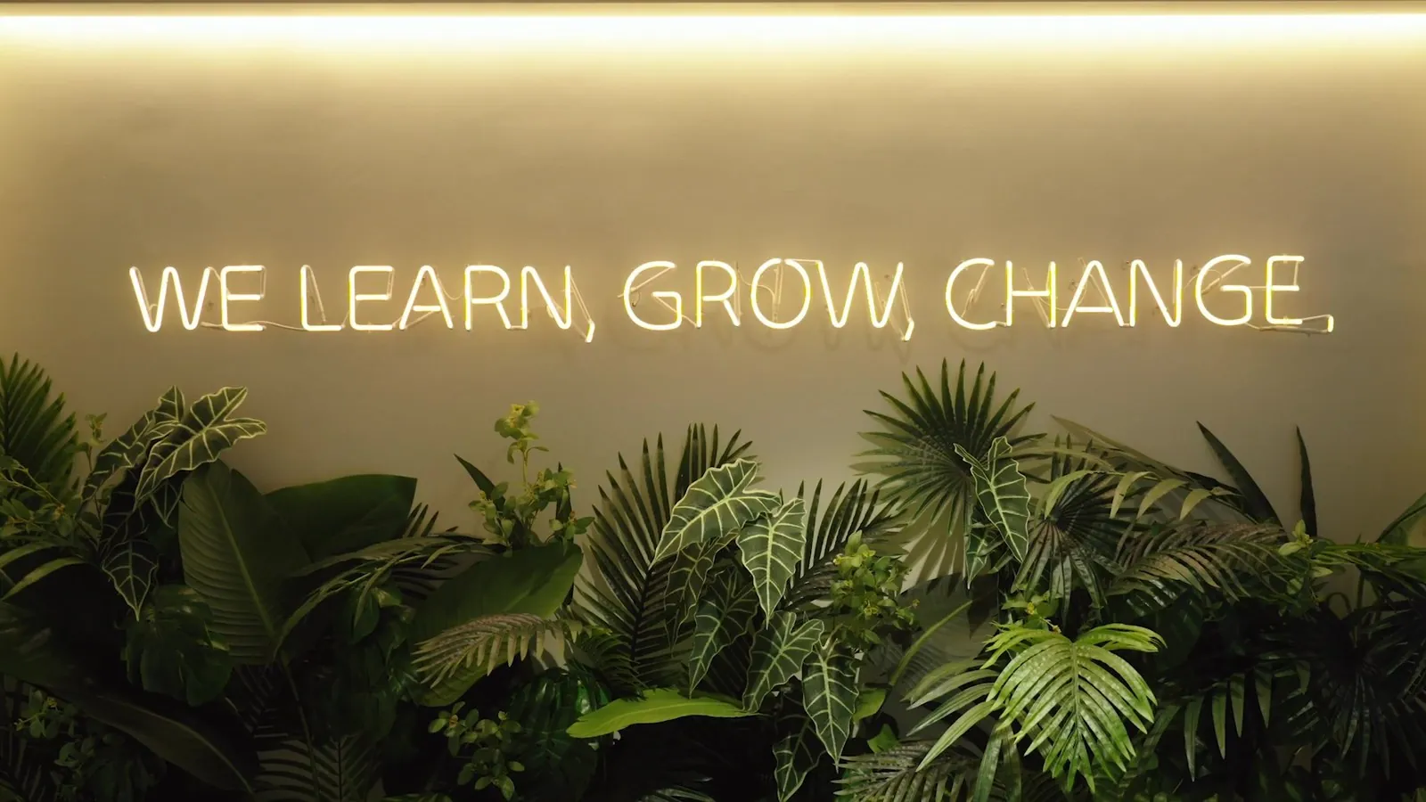 네이버 커넥트재단 엔트리 10주년 브랜딩 필름 스틸 — WE LEARN, GROW, CHANGE 네온